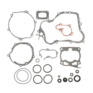 PROX SET TESNIL Z OLJNIMI SEMERINGI MOTORJA
