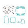 PROX TOP END KIT TESNIL MOTORJA